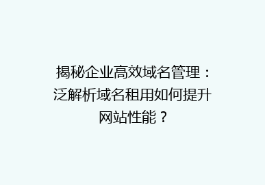 揭秘企业高效域名管理：泛解析域名租用如何提升网站性能？