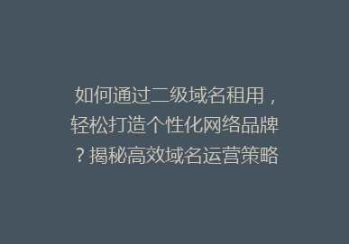 如何通过二级域名租用，轻松打造个性化网络品牌？揭秘高效域名运营策略！