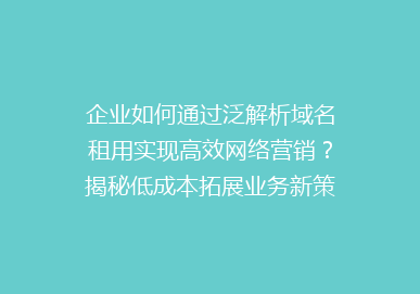 企业如何通过泛解析域名租用实现高效网络营销？揭秘低成本拓展业务新策略！