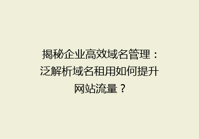 揭秘企业高效域名管理：泛解析域名租用如何提升网站流量？