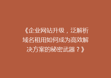 《企业网站升级，泛解析域名租用如何成为高效解决方案的秘密武器？》