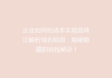 企业如何低成本实现高效泛解析域名租用，揭秘隐藏的省钱秘诀！