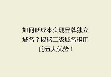 如何低成本实现品牌独立域名？揭秘二级域名租用的五大优势！