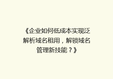 《企业如何低成本实现泛解析域名租用，解锁域名管理新技能？》