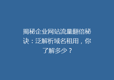 揭秘企业网站流量翻倍秘诀：泛解析域名租用，你了解多少？