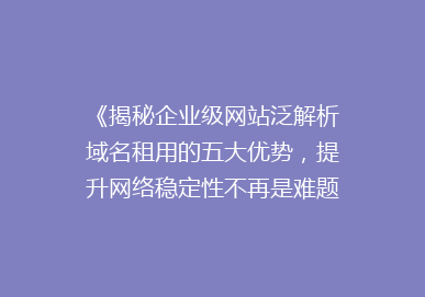 《揭秘企业级网站泛解析域名租用的五大优势，提升网络稳定性不再是难题！》