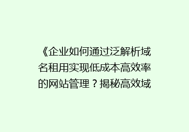 《企业如何通过泛解析域名租用实现低成本高效率的网站管理？揭秘高效域名策略》