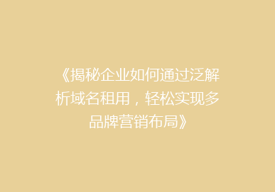 《揭秘企业如何通过泛解析域名租用，轻松实现多品牌营销布局》