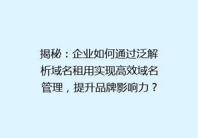 揭秘：企业如何通过泛解析域名租用实现高效域名管理，提升品牌影响力？
