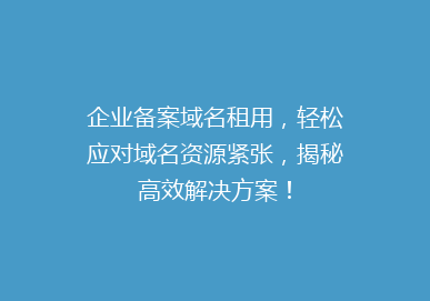企业备案域名租用，轻松应对域名资源紧张，揭秘高效解决方案！