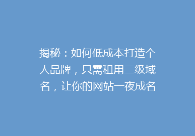 揭秘：如何低成本打造个人品牌，只需租用二级域名，让你的网站一夜成名！
