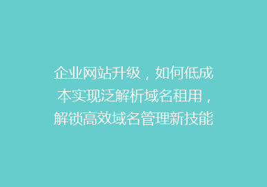 企业网站升级，如何低成本实现泛解析域名租用，解锁高效域名管理新技能？