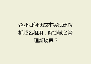 企业如何低成本实现泛解析域名租用，解锁域名管理新境界？