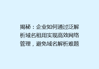 揭秘：企业如何通过泛解析域名租用实现高效网络管理，避免域名解析难题？