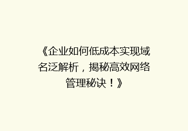 《企业如何低成本实现域名泛解析，揭秘高效网络管理秘诀！》