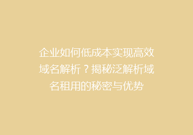企业如何低成本实现高效域名解析？揭秘泛解析域名租用的秘密与优势