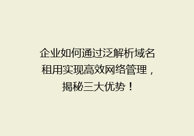 企业如何通过泛解析域名租用实现高效网络管理，揭秘三大优势！
