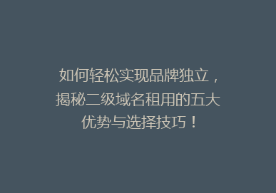 如何轻松实现品牌独立，揭秘二级域名租用的五大优势与选择技巧！