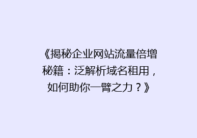 《揭秘企业网站流量倍增秘籍：泛解析域名租用，如何助你一臂之力？》