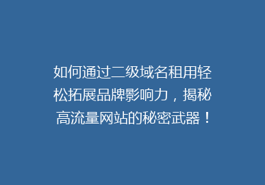 如何通过二级域名租用轻松拓展品牌影响力，揭秘高流量网站的秘密武器！
