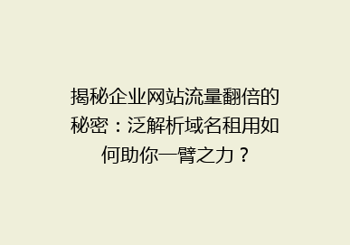 揭秘企业网站流量翻倍的秘密：泛解析域名租用如何助你一臂之力？