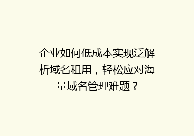 企业如何低成本实现泛解析域名租用，轻松应对海量域名管理难题？