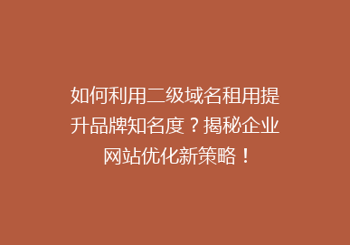 如何利用二级域名租用提升品牌知名度？揭秘企业网站优化新策略！