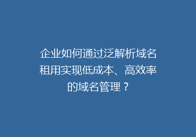 企业如何通过泛解析域名租用实现低成本、高效率的域名管理？