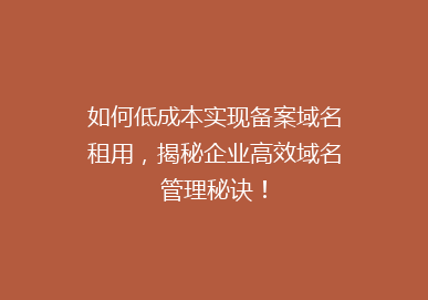 如何低成本实现备案域名租用，揭秘企业高效域名管理秘诀！