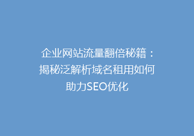 企业网站流量翻倍秘籍：揭秘泛解析域名租用如何助力SEO优化