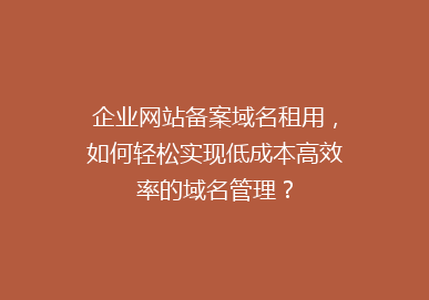 企业网站备案域名租用，如何轻松实现低成本高效率的域名管理？