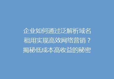 企业如何通过泛解析域名租用实现高效网络营销？揭秘低成本高收益的秘密！