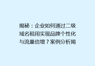 揭秘：企业如何通过二级域名租用实现品牌个性化与流量倍增？案例分析揭示秘密！