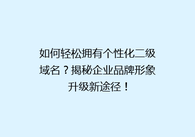 如何轻松拥有个性化二级域名？揭秘企业品牌形象升级新途径！