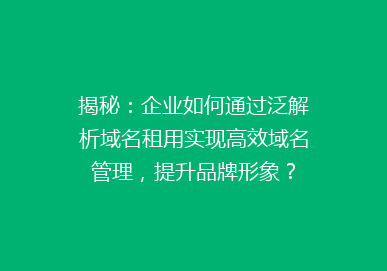 揭秘：企业如何通过泛解析域名租用实现高效域名管理，提升品牌形象？