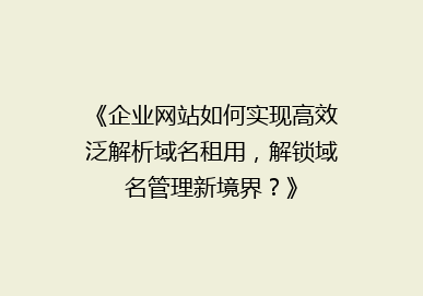 《企业网站如何实现高效泛解析域名租用，解锁域名管理新境界？》