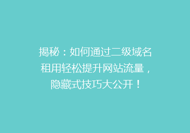 揭秘：如何通过二级域名租用轻松提升网站流量，隐藏式技巧大公开！