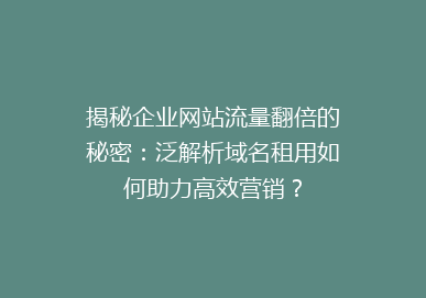 揭秘企业网站流量翻倍的秘密：泛解析域名租用如何助力高效营销？