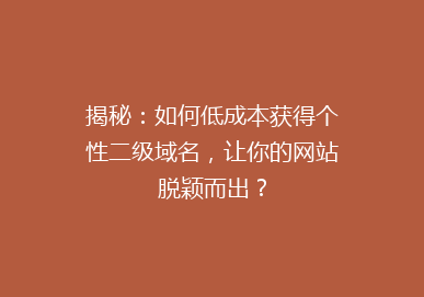 揭秘：如何低成本获得个性二级域名，让你的网站脱颖而出？