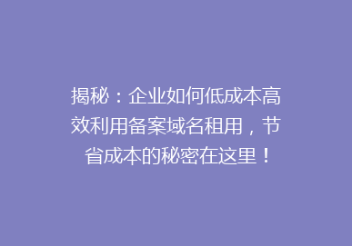 揭秘：企业如何低成本高效利用备案域名租用，节省成本的秘密在这里！