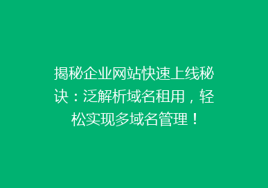 揭秘企业网站快速上线秘诀：泛解析域名租用，轻松实现多域名管理！