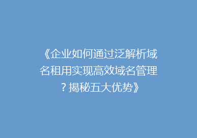 《企业如何通过泛解析域名租用实现高效域名管理？揭秘五大优势》