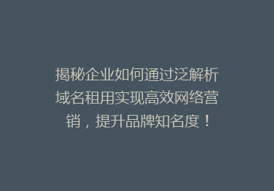 揭秘企业如何通过泛解析域名租用实现高效网络营销，提升品牌知名度！