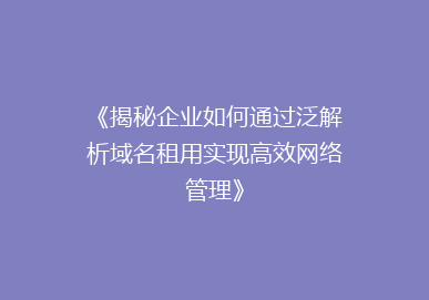 《揭秘企业如何通过泛解析域名租用实现高效网络管理》