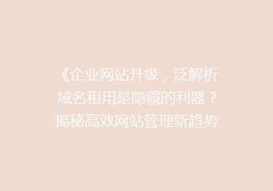 《企业网站升级，泛解析域名租用是隐藏的利器？揭秘高效网站管理新趋势》