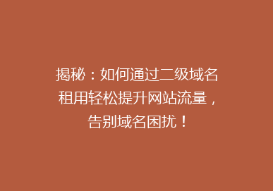 揭秘：如何通过二级域名租用轻松提升网站流量，告别域名困扰！