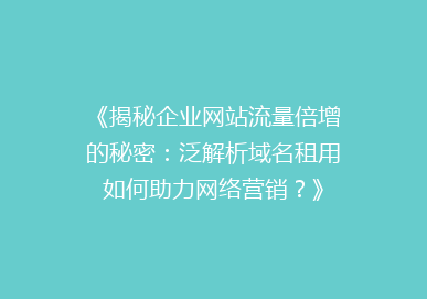 《揭秘企业网站流量倍增的秘密：泛解析域名租用如何助力网络营销？》