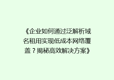 《企业如何通过泛解析域名租用实现低成本网络覆盖？揭秘高效解决方案》