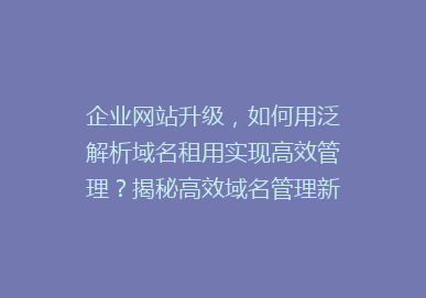 企业网站升级，如何用泛解析域名租用实现高效管理？揭秘高效域名管理新趋势！