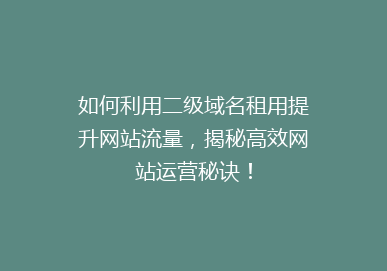 如何利用二级域名租用提升网站流量，揭秘高效网站运营秘诀！